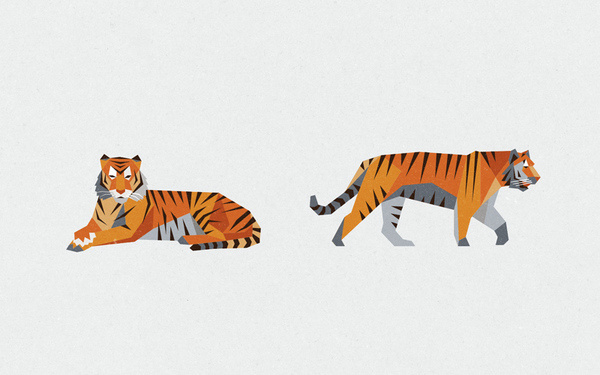 Jimmy Gleeson via www.mr cup.com #illustration #animal