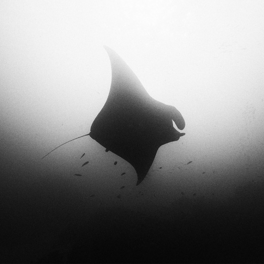 水中の写真 : Hengki Koentjoro Photography | Ghost Room #photography