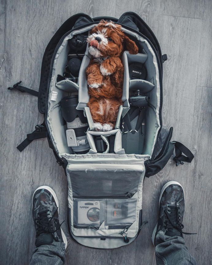 Adorable and Creative Lifestyle Photography by Roberto Nickson