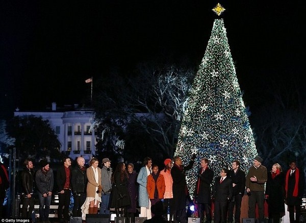 18 Christmas tree on White house #christmas #trees #art #tree