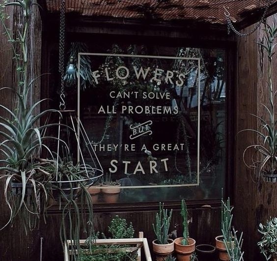 Flowers can't solve all problems - but they're a great start!: