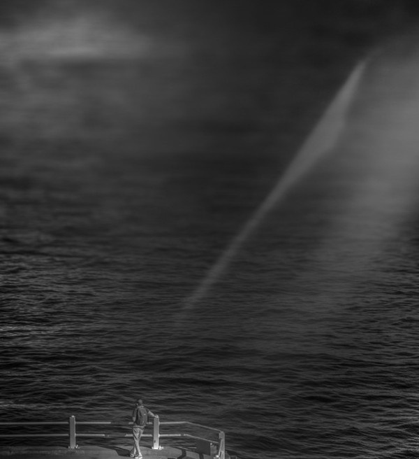 White Lies by Ali Sureyya Torun #inspiration #white #black #photography #and