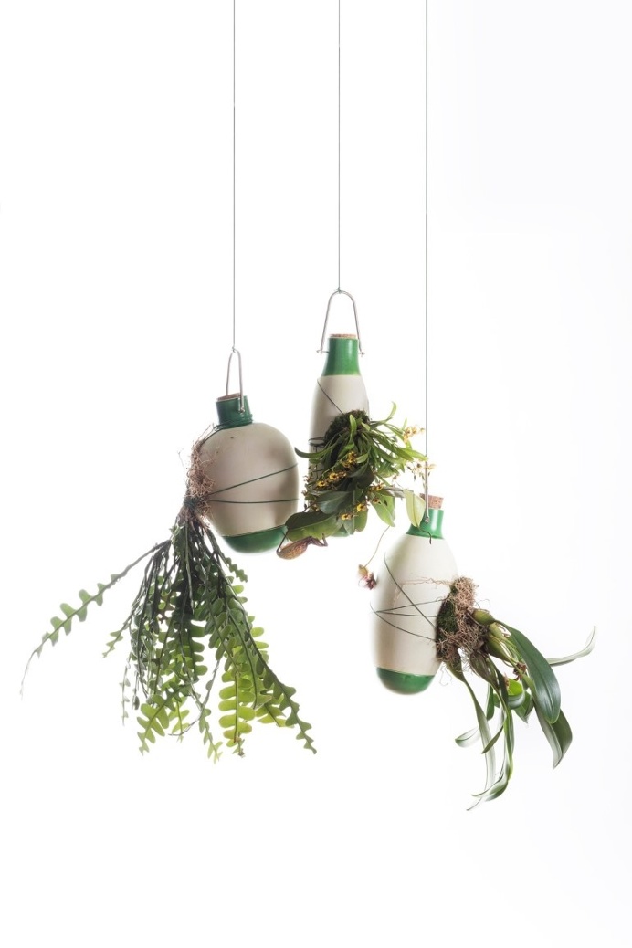 Aerial Ceramic Vases for Indoor Epiphytic House-Plants