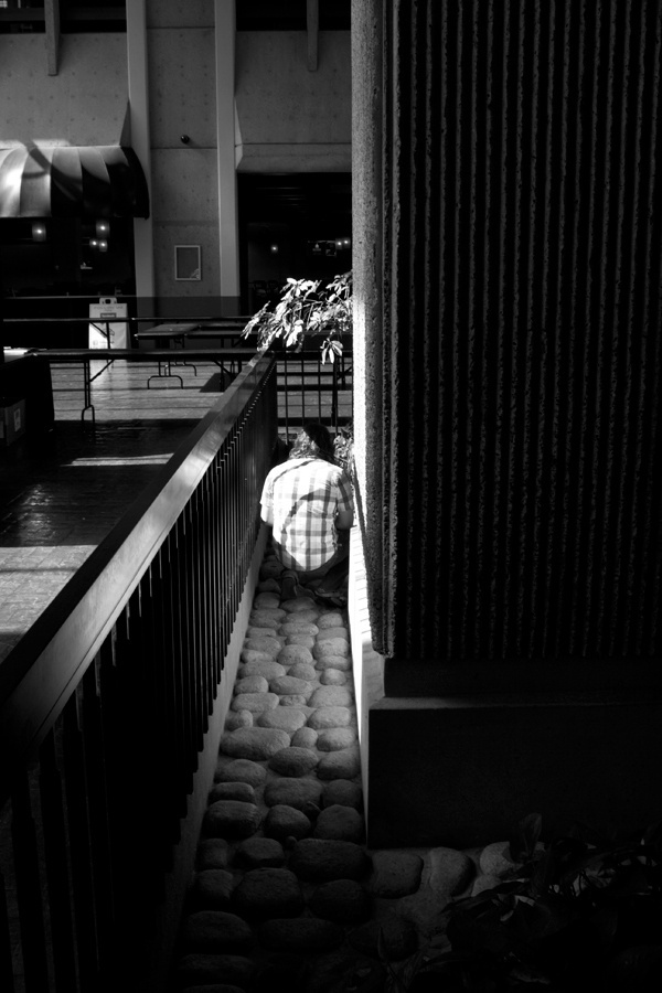 Paul Swims with Fishes #white #usm #black #digital #photography #and