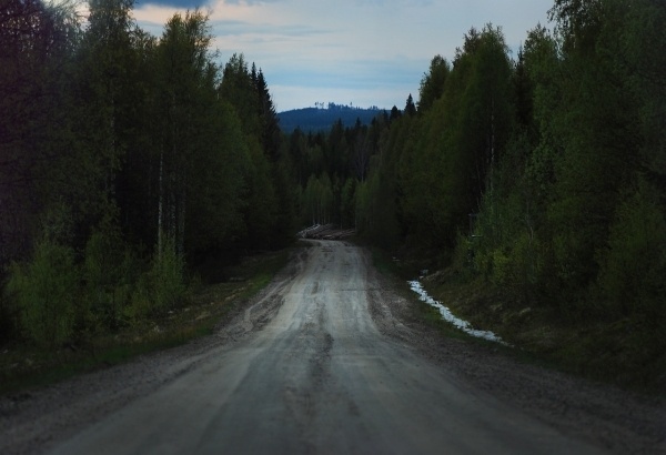 Arch MCX #wild #mountain #sweden #water #streamtrees #hill #road #path #track #element #forest #plant