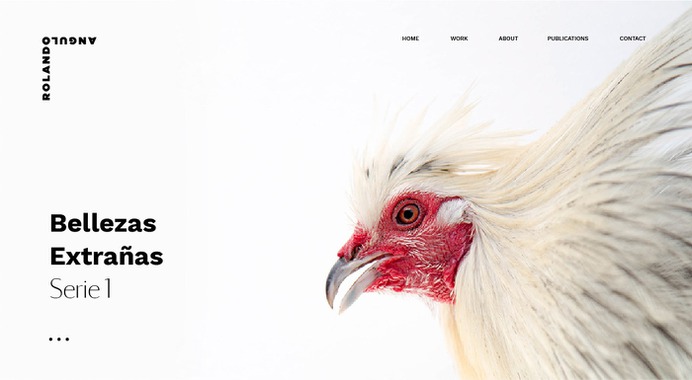 RESET Co. on Behance