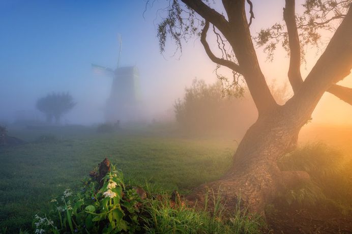 Magic Windmills: Gorgeous Sunset Photography by Albert Dros