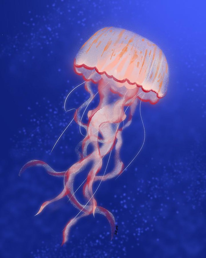 easy jellyfish painting & jellyfish paint by numbers #painting