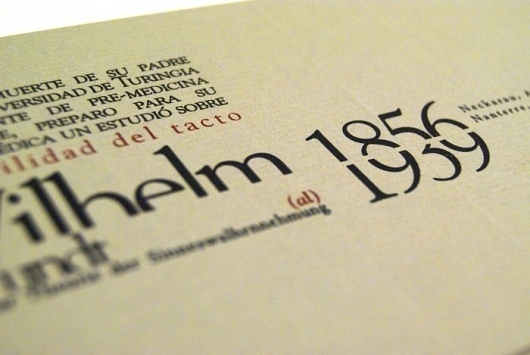 Diego Pinzon, Industrial Designer from Buenos Aires CF, Argentina #diego #pinzon #dictionary #layout #typo #typography
