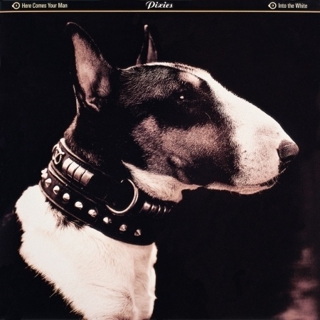 Vaughan | C Photo #oliver #pixies #vaughan
