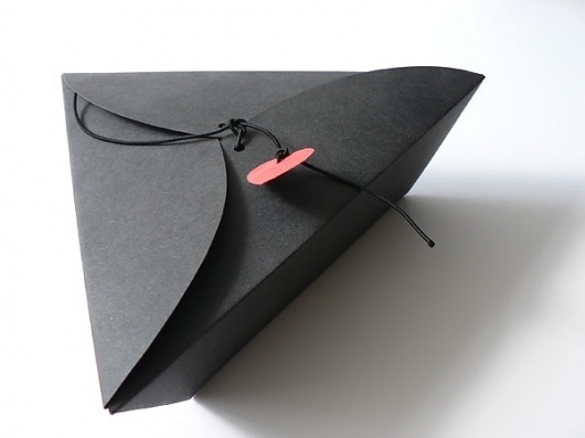 Atelier des plis - des plis - design de papier et de famille #crafts #paper