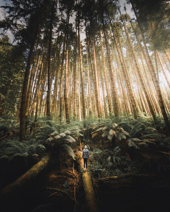 Wonderful Outdoor and Landscape Photography by Luke Stackpoole