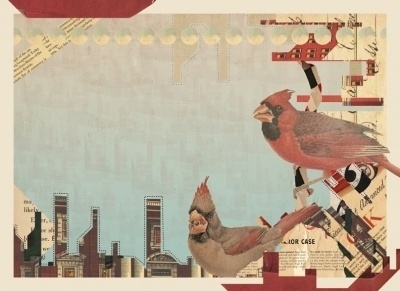the portfolio and artwork of kyle mosher | KyleMosher.com #kyle #birds #mosher #mixed #media #collage
