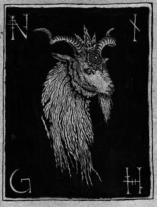 NATVRES MORTES ILLVSTRATION ∆ #goat