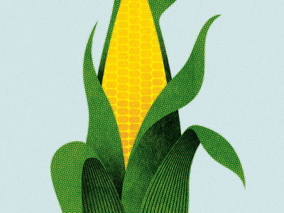 #illustration #corn
