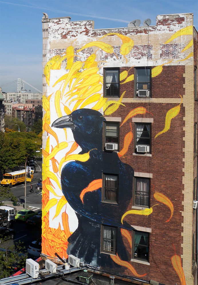 bird, mural, blackbird, abstract, wall, building, color