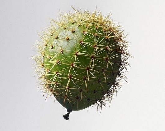 the week in art with colossal march 3rd - 9th, 2012 #balloon