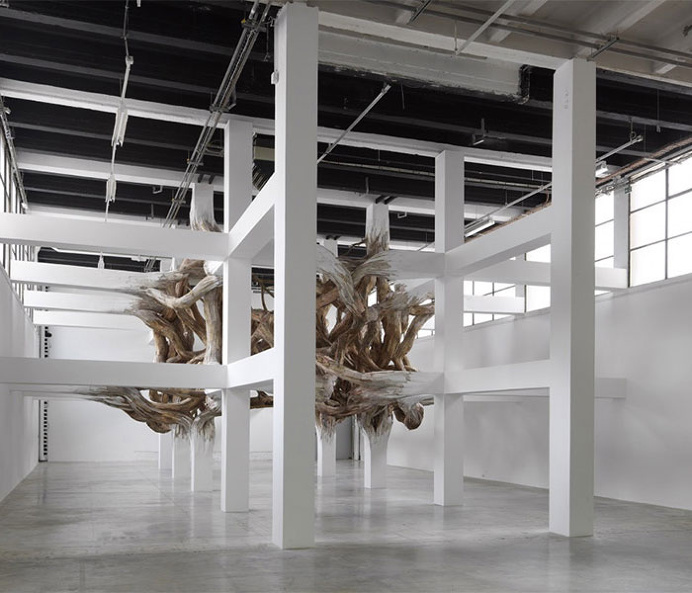 Organic Transformations by Henrique Oliveira