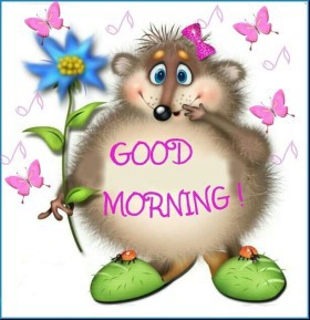 - Good Morning