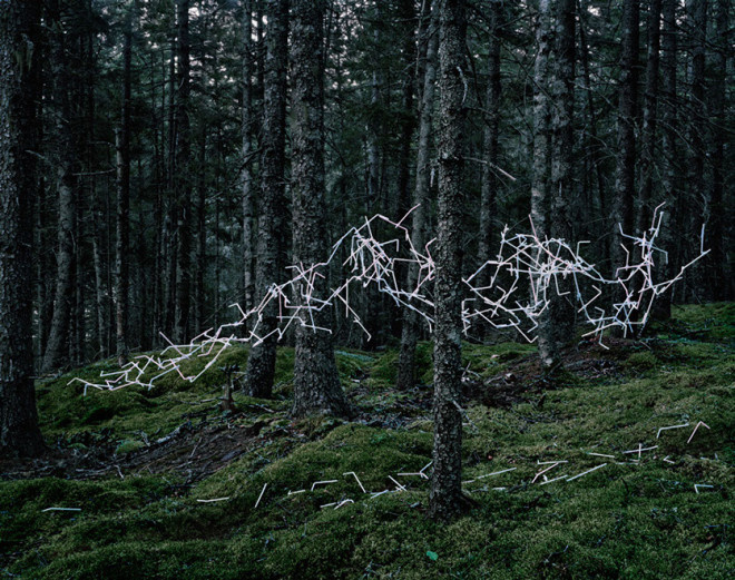 Emergent Behavior by Thomas Jackson #inspiration #photography #art