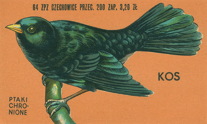 Polish matchbox label