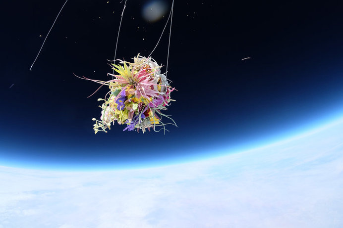 A Japanese Artist Launches Plants Into Space #photography #space #flowers