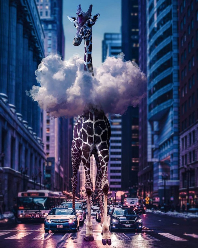 Amazing and Dreamlike Photo Manipulations by Martyna Sobalak