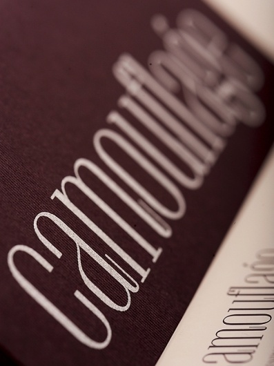 Behance Network :: Project Editor #font #camouflage #sleek #brand #identity #elegant #textile #type