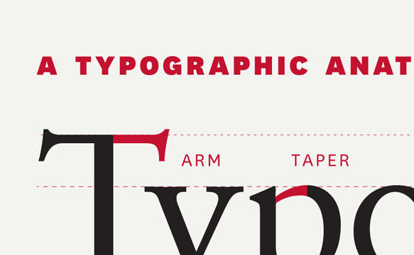Lesson Plan teasers on Dribbble #type