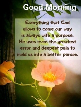 100 Good Morning Quotes with Beautiful Images - Good Morning