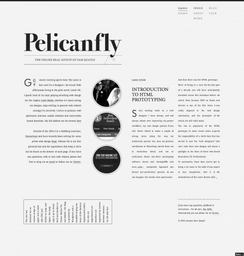 Pelican Fly on Grid Based #minimal #typographic