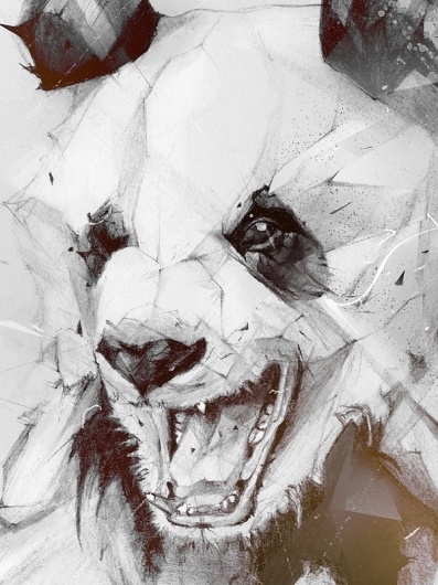 Panda on the Behance Network #marcou #illustration #alex