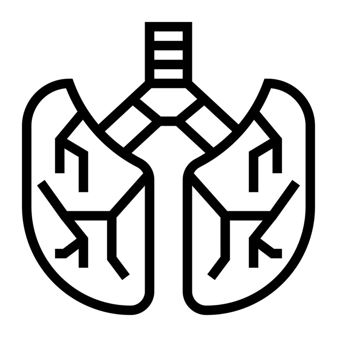 See more icon inspiration related to lung, breath, healthcare and medical, anatomy, body parts, lungs, human body, organ, body part and medical on Flaticon.