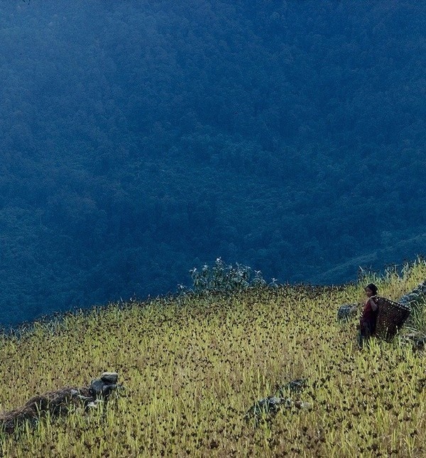 High Himalaya by Eric Valli #inspiration #photography #travel
