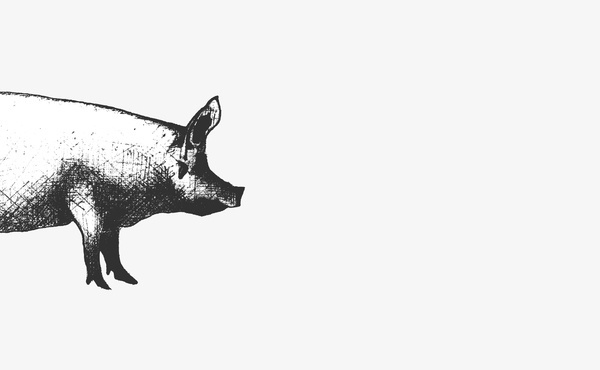 R&Co. Local 215 Pig #mark #illustration #symbol #logo #drawing #sketch