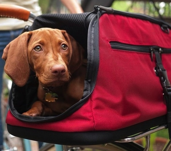 Sleepypod Air In-Cabin Pet Carrier #gadget