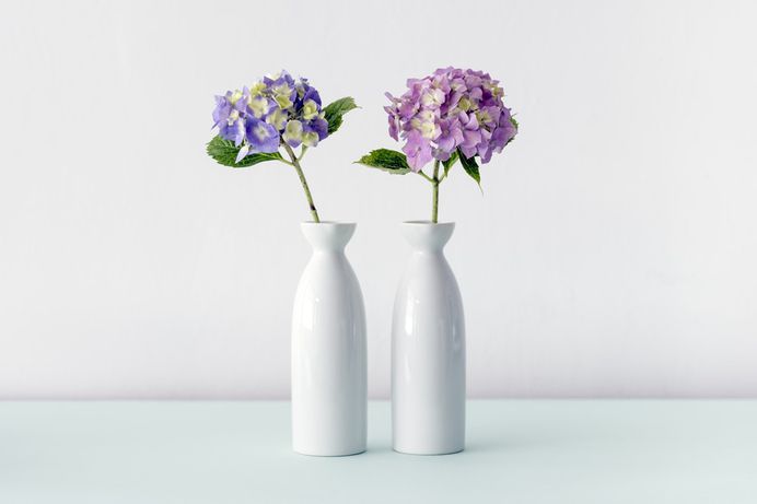 Violet and pink hydrangea flowers in two white vases