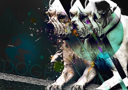 Dog eat Dog | Flickr - Photo Sharing! #pop #color #street #dog