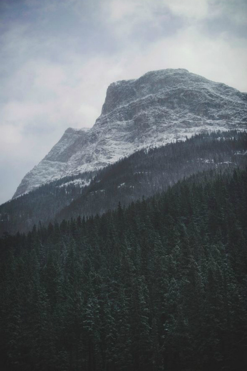 Sleepless Dreams | ilaurens: Rockies By: (Tasha Maríe) (Follow... #rockies #mountain #landscape #wood #photography #america #forest #epic