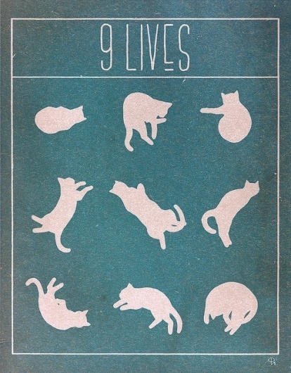 scp | Flickr - Photo Sharing! #design #cats
