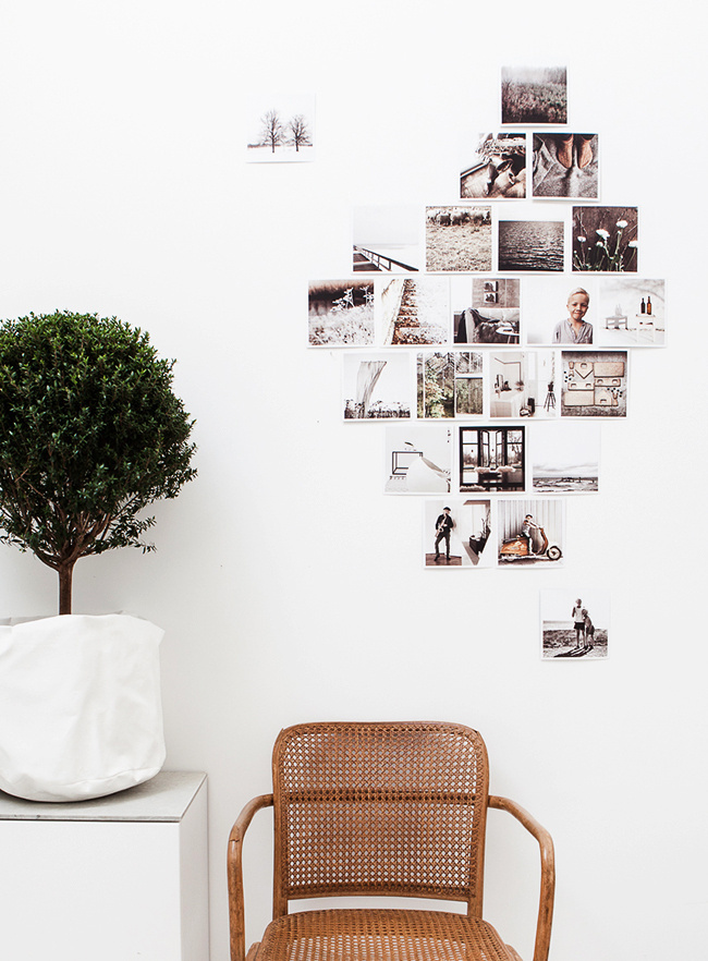 Photo: Daniella Witte #interior #photos #tree #chair #wall