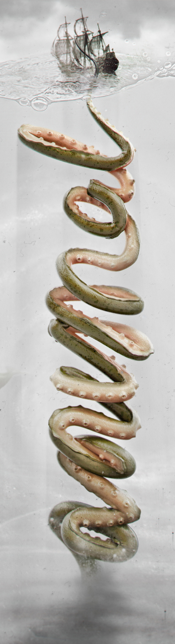 A N I M A L on Behance #kraken #species #type #animal #3d #typography