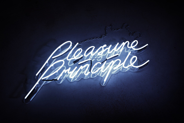 pleasure principle mads perch photography #direction #photography #art #signage #neon