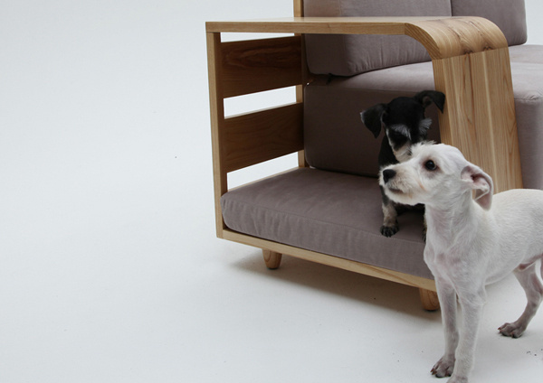 07 #sofa #dogs