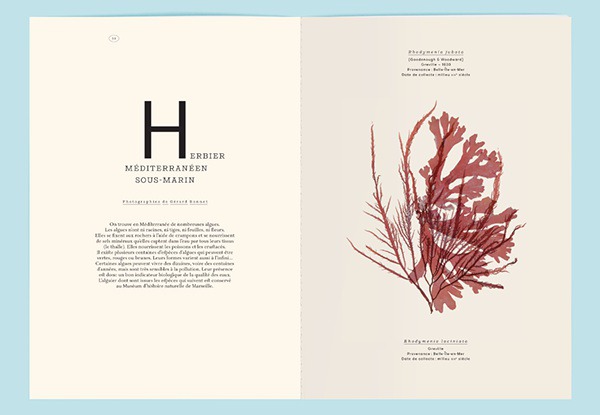 La Revue Mediterranée on Behance