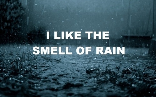tumblr_l8ng1vwwoT1qby9fbo1_500.jpg 500 × 312 Pixel #movie #picture #cold #rain #type #still #typography