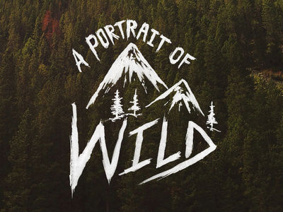 A Portrait of Wild #lettering #typography