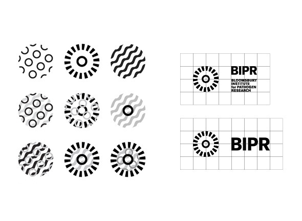 BIPR Identity _ Igloo #bipr #igloo #identity