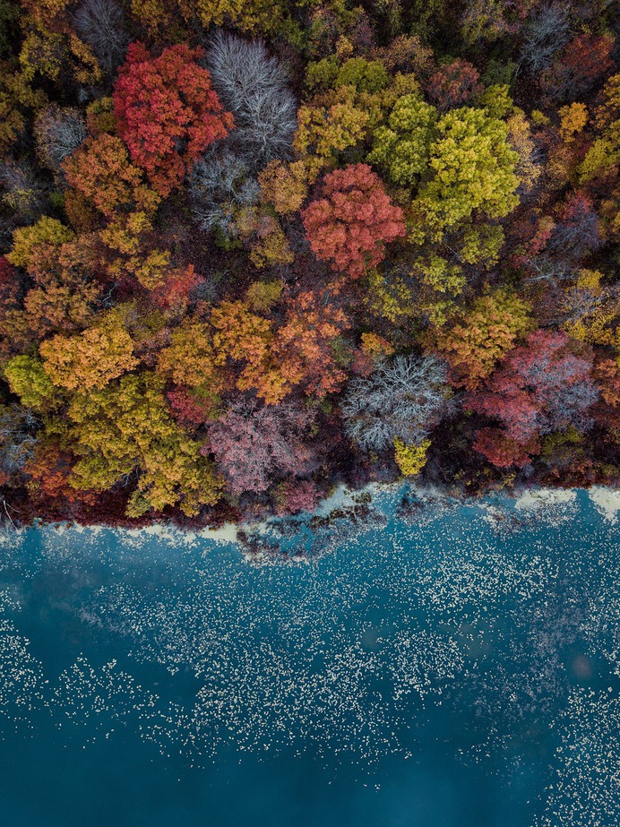 Autumn Lake