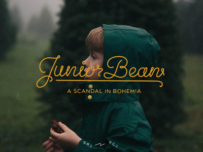 JuniorBean #scrirpt